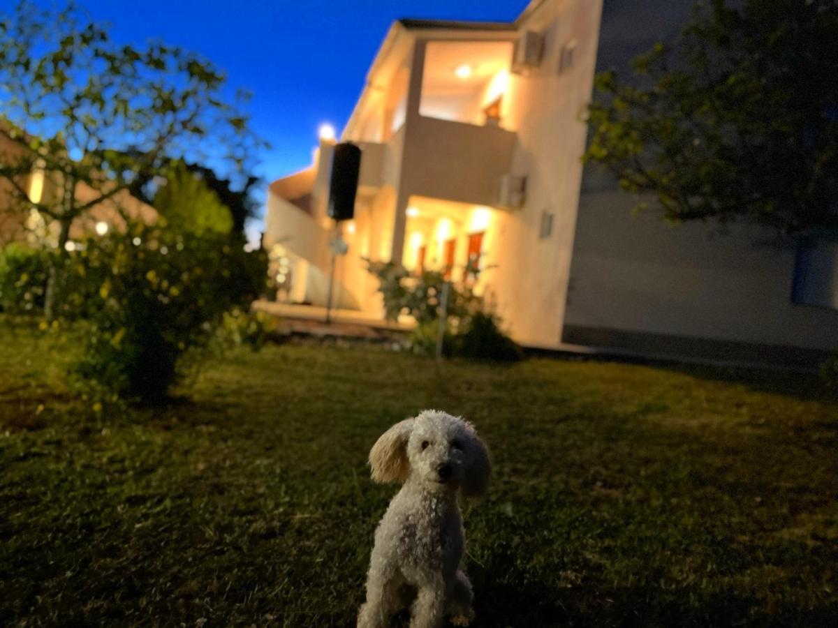 Apartments Fortuna Biograd Na Moru Esterno foto